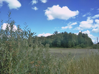 Similar image 21657038