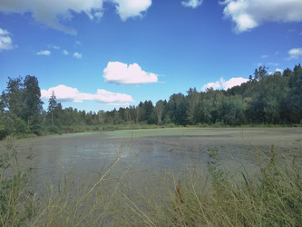 Similar image 21657039