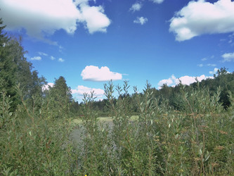 Similar image 21657040