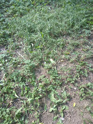 Similar image 21657041