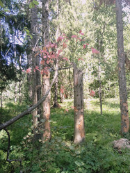 Similar image 21657043