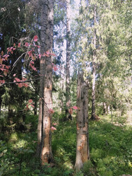 Similar image 21657047