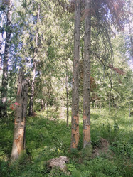 Similar image 21657048