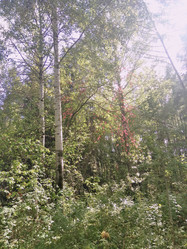 Similar image 21657050