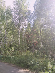 Similar image 21657051