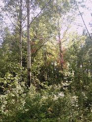 Similar image 21657052