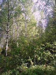 Similar image 21657055