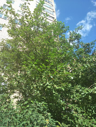 Similar image 21657056