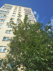 Similar image 21657057