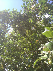 Similar image 21657058