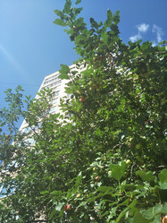 Similar image 21657059