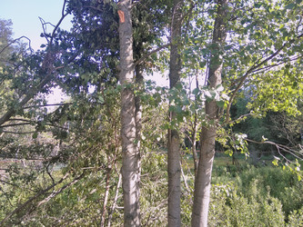 Similar image 21657060