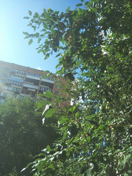 Similar image 21657061