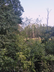 Similar image 21657062