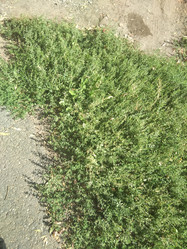 Similar image 21657067