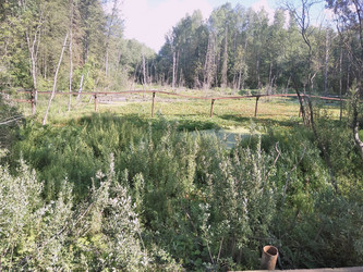 Similar image 21657068