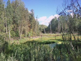 Similar image 21657069