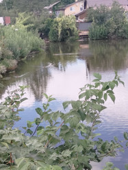 Similar image 21657071