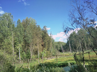 Similar image 21657072