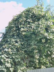 Similar image 21657073