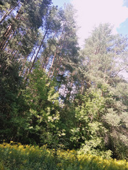 Similar image 21657074