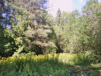 Similar image 21657076