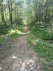 Similar image 21657080