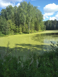 Similar image 21657083