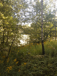 Similar image 21657084