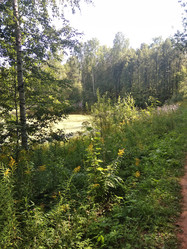 Similar image 21657085