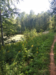 Similar image 21657086