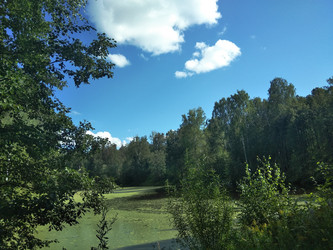 Similar image 21657087