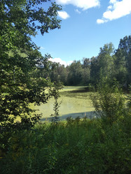 Similar image 21657089