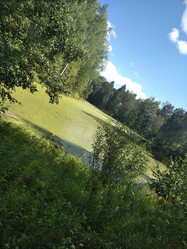 Similar image 21657091