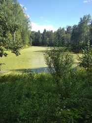 Similar image 21657092