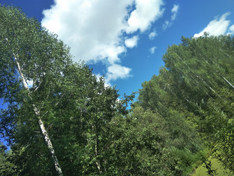 Similar image 21657096