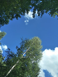 Similar image 21657097