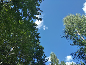 Similar image 21657098