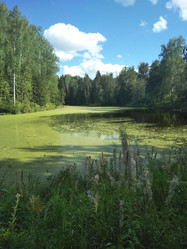 Similar image 21657099