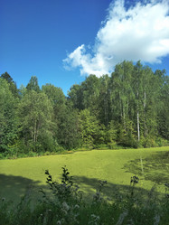 Similar image 21657104