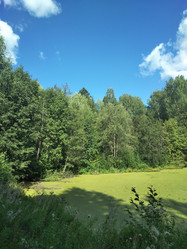 Similar image 21657105