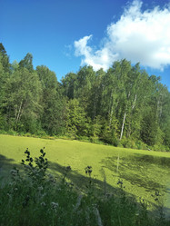 Similar image 21657106