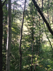 Similar image 21657111