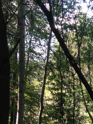 Similar image 21657112