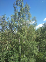 Similar image 21657113