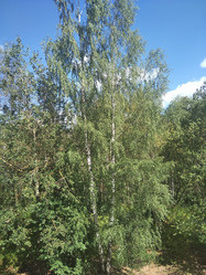 Similar image 21657114