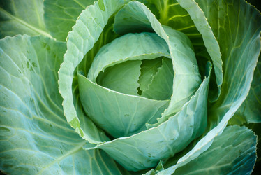 Similar image 21640732