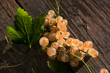 Similar image 21640741