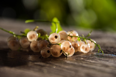 Similar image 21640742