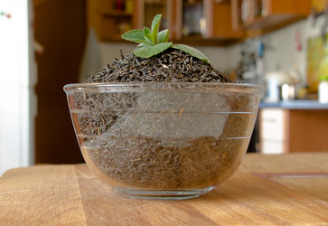 Similar image 21640753